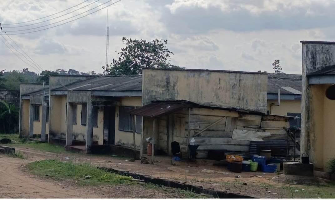 Screenshot_20250412-073033_WhatsApp